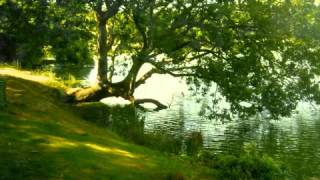 Jonas Kaufmann: Wesendonck Lieder by Wagner