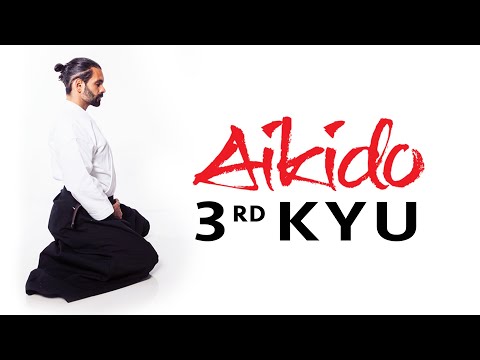 Aikido Techniques for Beginners - 3rd Kyu Test Requirements