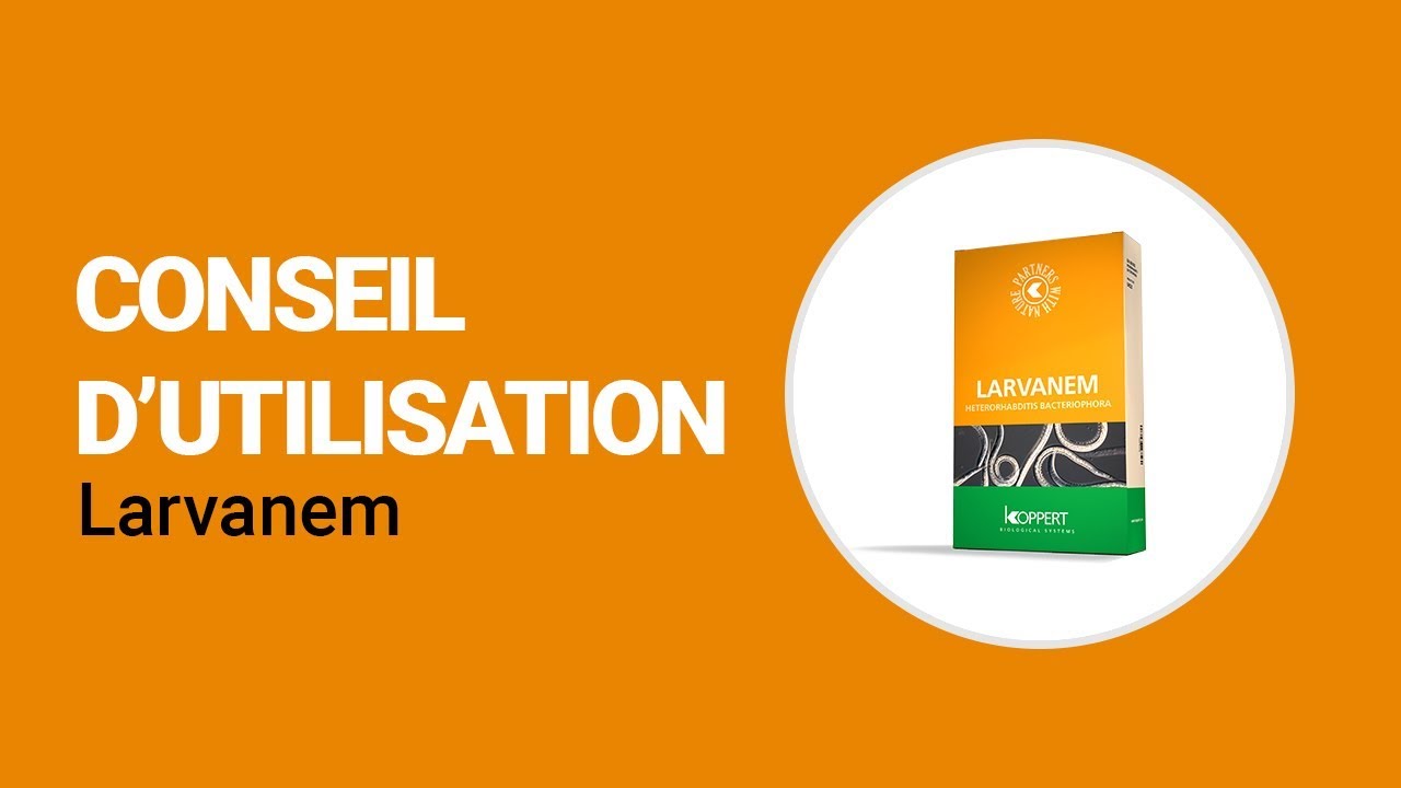 Video preview poster