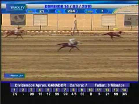 Resumen Domingo 14 de Marzo 2010 - La Rinconada