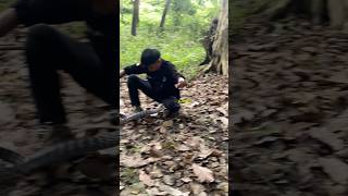 Download lagu So fast that it's not clear #snake #viralvideo #shortsviral mp3