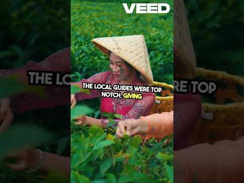 Ultimate Vietnam Travel Guide   Must See!#GetYourGuide#MMO