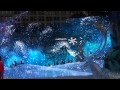 Video 1304 Macy S Magic Christmas Show