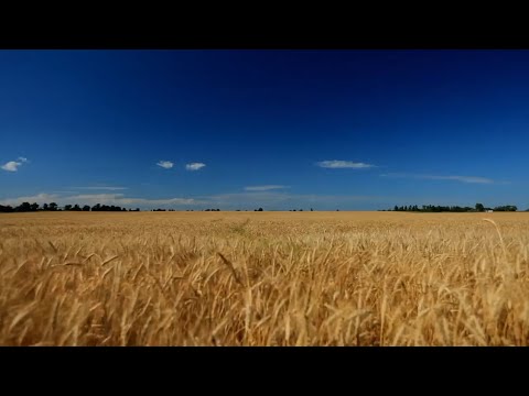 Make Me A Pallet - The Journeymen