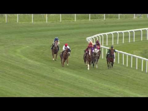 BroPark 27.06.17 - Shadwell Arabian Stallions Sprint