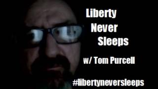 Liberty Never Sleeps on Amnesty and Economic modeling