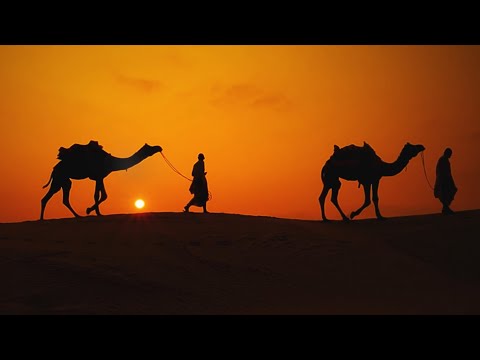 Kings of the Orient - Jensen & Company (Official Music Video)