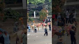 Download lagu Kuda renggong di karnaval cicalengka #umbasakha #karnaval #karnavalcicalengka #kemerdekaan mp3 Download lagu Kuda renggong di karnaval cicalengka #umbasakha #karnaval #karnavalcicalengka #kemerdekaan mp3