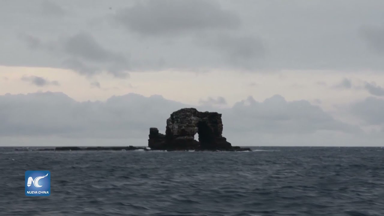 youtube video id=0mnrUe_-_MI