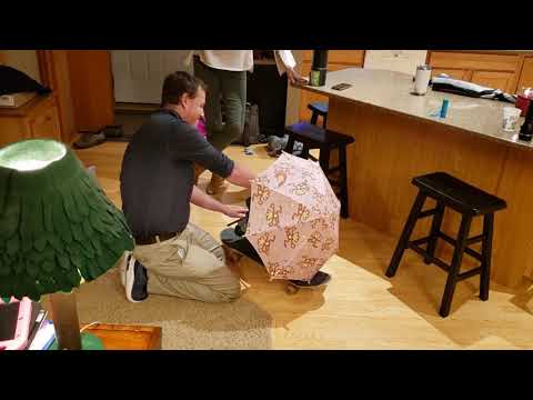 Leaf Blower Skateboard Investigation