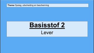 Basisstof 2 De lever