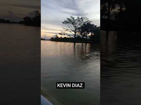 ESO ES AYAPEL CÓRDOBA 🎣🌍 #viral #pesca #shortvideo #pescado #selva