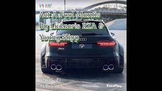 ACT A FOOL MANTIS BY LUDACRIS RZA &amp; YOUNG.SLIPP
