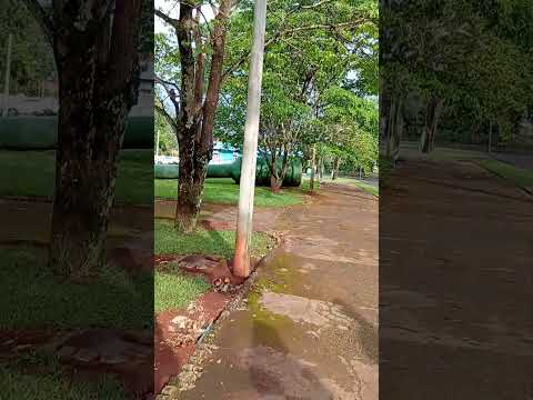 Jesúpolis Goiás _ Aquele Cardio Maravilhoso
