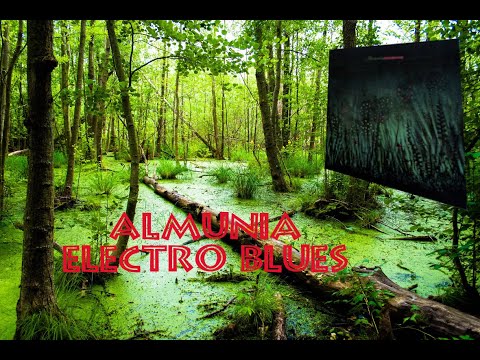 Almunia ~ Electro Blues #Alminia #ElectroBlues #GianlucaSalvadori #LeonardoCeccanti #newmoon