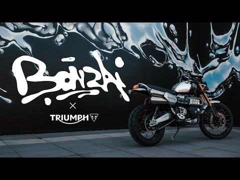 Triumph X Bonzai | Triumph Chrome Collection