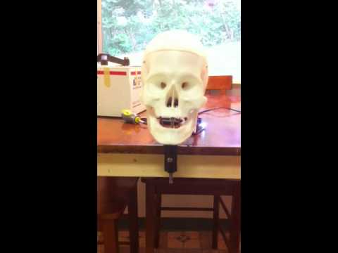 Cjmekeel's 3 Axis Skull Halloween Prop