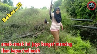 Download lagu Rekor !!! Emak-emak jago mancing ikan kepar/selincah mp3 Download lagu Rekor !!! Emak-emak jago mancing ikan kepar/selincah mp3