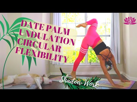 Palm Date Yoga | Undulation Circular Flexibility Movement | Shadow | Ali Kamenova Yoga