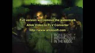 Balanced Chaos- Roni Size Reprazent