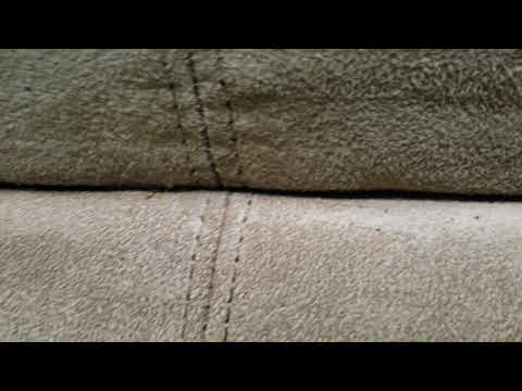 Cowleys Pest Services - Pests We Treat Youtube videos