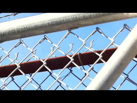BIGG CHRIS Music Video
