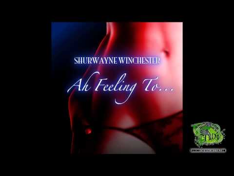Shurwayne Winchester - Ah Feeling To... (song)