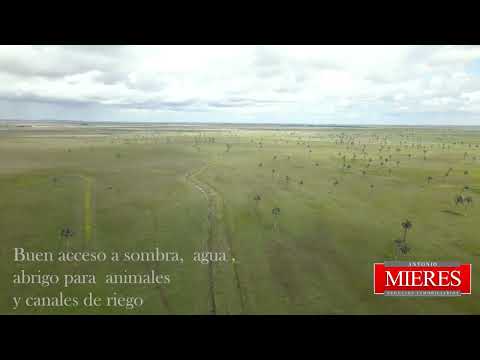 Video de YouTube - Campo en Venta  en Rocha, Rocha