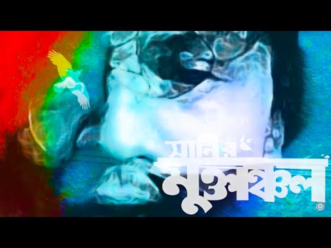 Ke Ar Bajate Pare | Sunny | Muktanchol(মুক্তাঞ্চল) | Arafat Mohsin (Official Music Video)