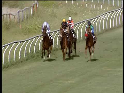 Galoppo 21/08/2019 - 1ª corsa