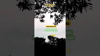 Download lagu Senyum Membawa Luka - Meggy Z #shorts#lagu#nostalgia  #dangdut @Radiojaddoels mp3