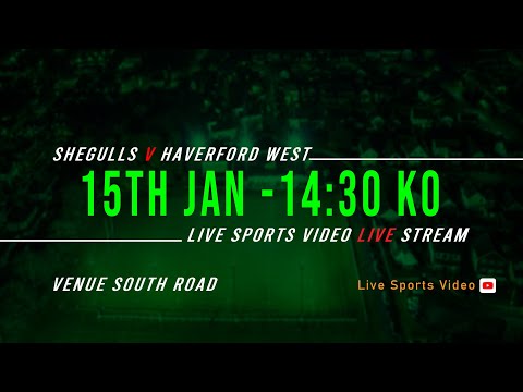 Shegulls v Haverfordwest Ladies