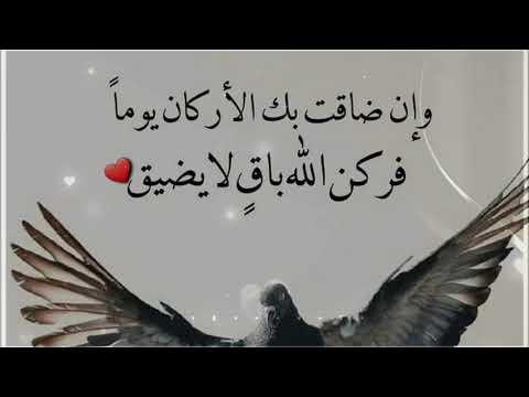 يارب ارحم ضعفنا😭❤حالات واتس اب دينية قصيرة- مقاطع انستقرام دينية- مقاطع دينية قصيرة-استوريات