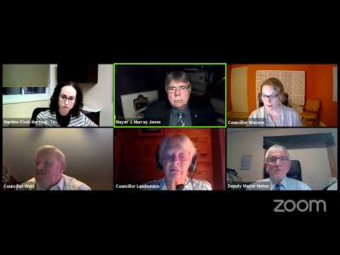 Regular Council Meeting - March 2, 2021