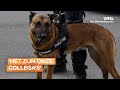 Wordt er goed gezorgd voor politiehonden- en paarden? 'Het zijn onze collega's'