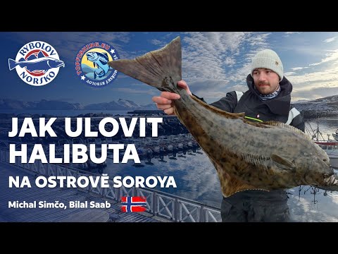 Jak ulovit halibuta na ostrově Soroya | Rybolov Norsko