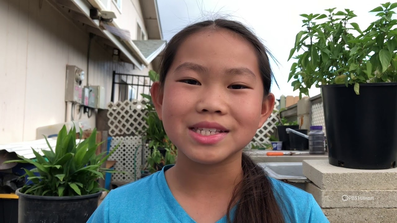 Maui Waena Intermediate School | Student Reflection - Capriana Nozaki | HIKI NŌ
