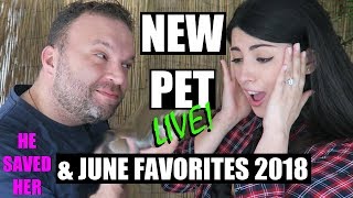 NEW PET RESCUED! | June Favorites 2018 - Pet Edition! by Emzotic