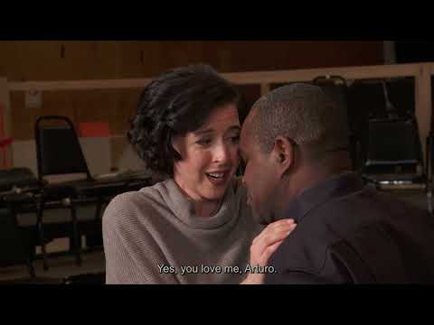 Bellini’s I Puritani: “Vieni fra queste braccia” (Lisette Oropesa, Lawrence Brownlee)