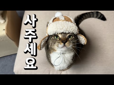 춘봉이네 플리마캣's 오픈했습니다
