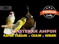 Masteran Ampuh Kombinasi Cililin Kapas Tembak Kenari