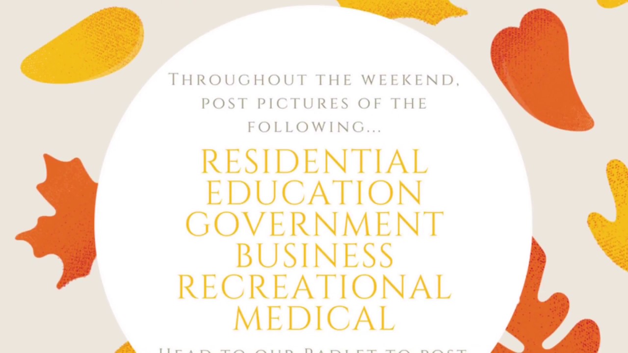 Structure in a Community