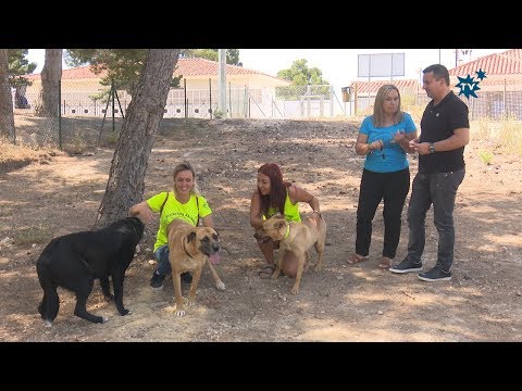 El Parque Can de Nucía Park es el nº14 del municipio