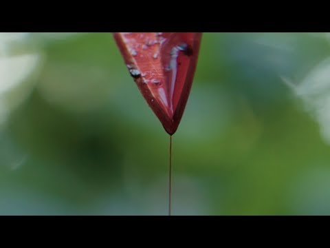 Richard Kerz - Empire Of War