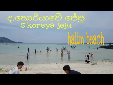 S.koreya jeju do halim beach