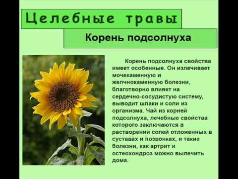 Мозговое кровообращение из-за остеохондроза Народный рецепт лечения воспаления сустава