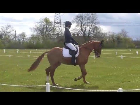Craig Mor Tom and Connie W-A Withington CIC* 2016