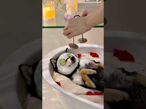 ASMR | Manyu’s Immersive Spa Care & Bath Time