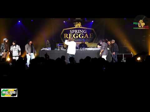 Freestyle Final - Spring Reggae Festival #11 - 2017