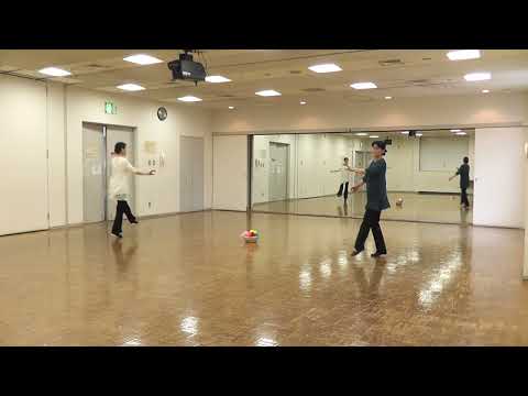 Hora Mechdeshet ホラメフデシェット הורה מחודשת  -Meir Shem Tov (Circle Dance)